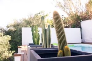 CASITA IN ALGODONALES