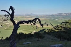 Casitas de Cañosanto