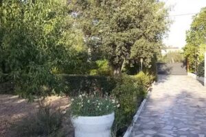 CDAD PROP HOYA DEL JUNCO – CAMINO VAQUERIZA