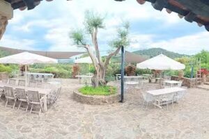 Celler i Mas Bell lloc