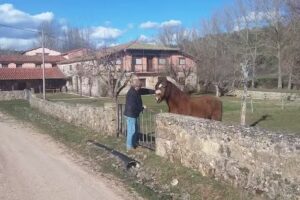 Centro de Día Cañón del Río Lobos
