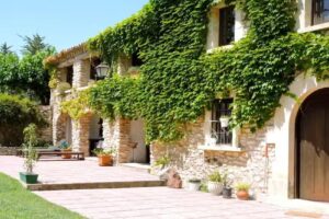 Chilliman Mas Miró Biofarm