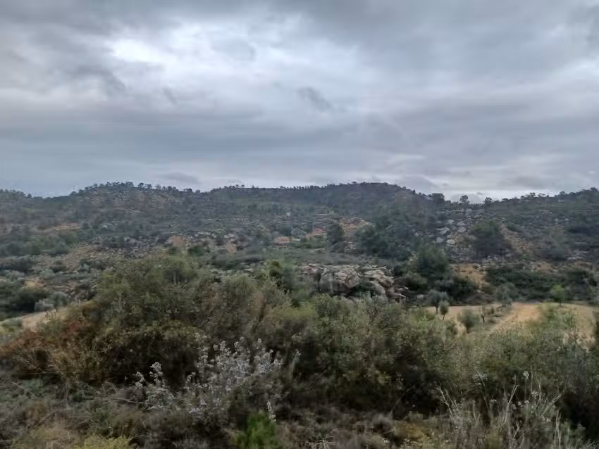 Cielos Azules