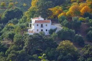 Clarinda Parques S.L.