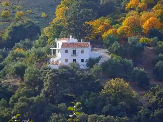 Clarinda Parques S.L.