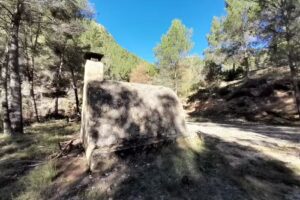 Cobijo forestal La Araña