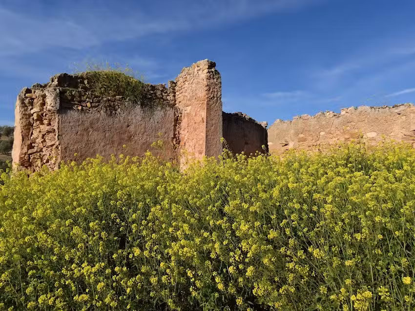 Cortijo de Corbunillo