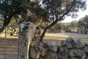 Cortijo de Eustaquio