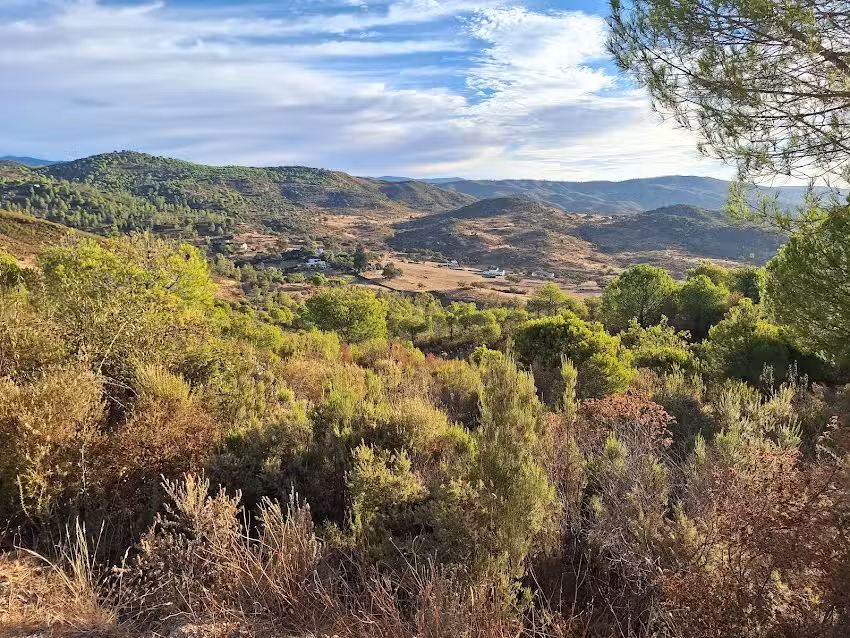 Coto Mina Concepcion