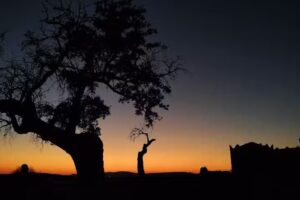 Dehesa Boyal de Atalaya