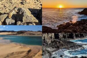 Dragonic Fuerteventura