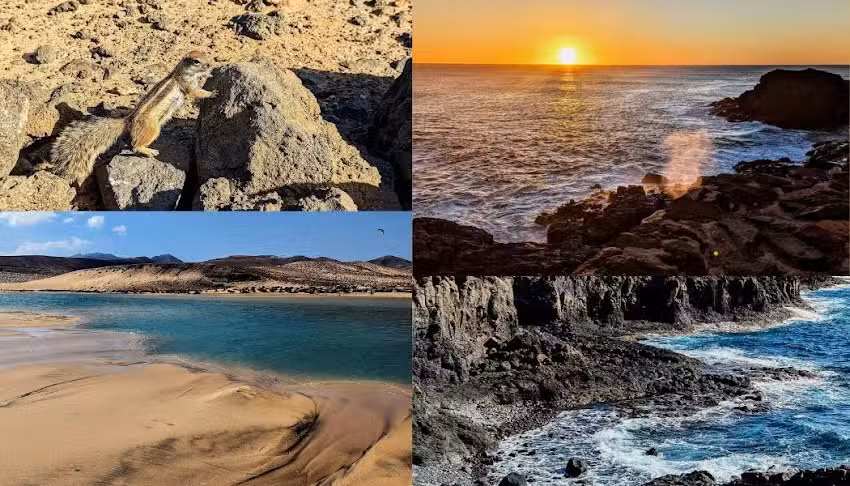 Dragonic Fuerteventura