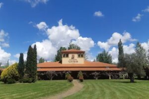 Eco – Albergue Fundación Tormes ARTE EMBOSCADO (BOSQUE ENCANTADO)