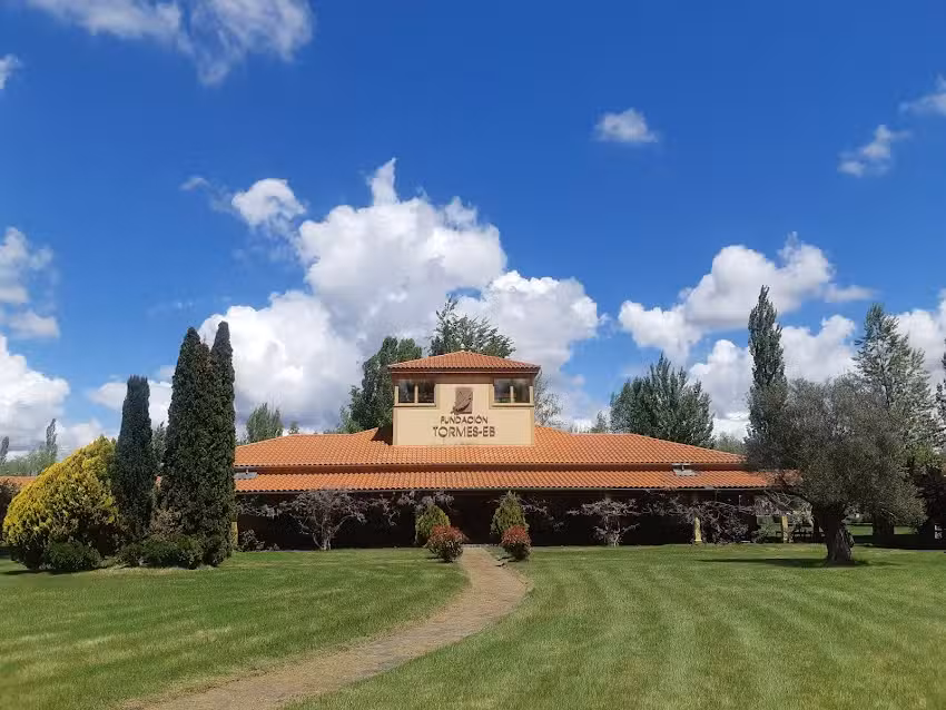 Eco – Albergue Fundación Tormes ARTE EMBOSCADO (BOSQUE ENCANTADO)