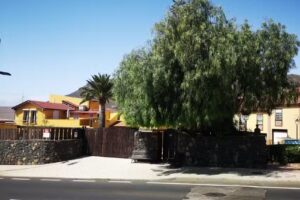 El Almendro Vivienda Vacacional