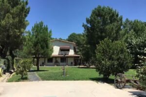 El Bosque de la Herrezuela