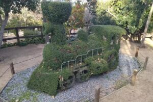 El Bosque de los Romanos