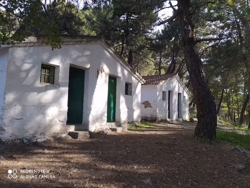 El Cañuelo