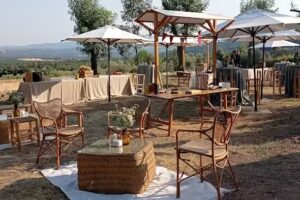 El Castell de Segueró