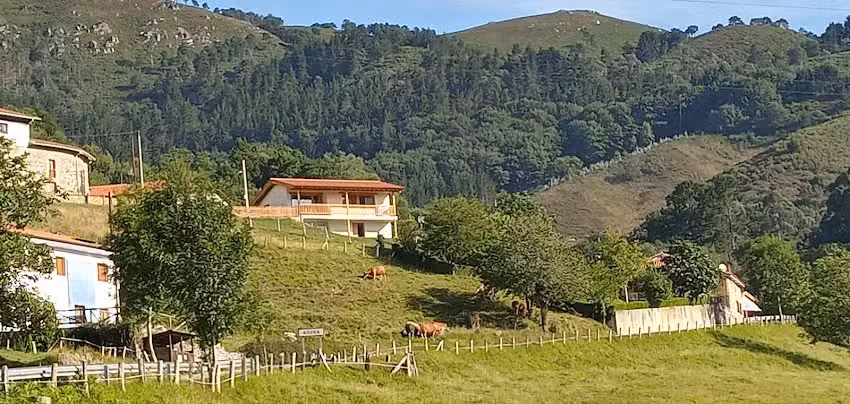 El Mirador de Bodes, Alojamiento Turístico