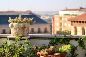 EL Mirador de Zamora