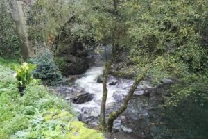 El Molí del Montseny