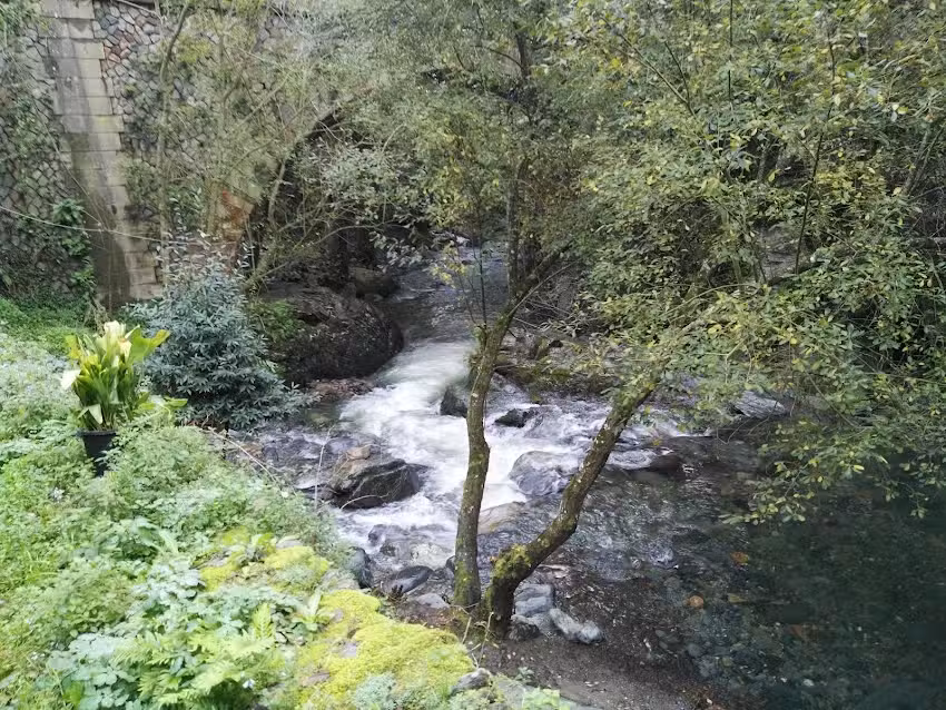 El Molí del Montseny