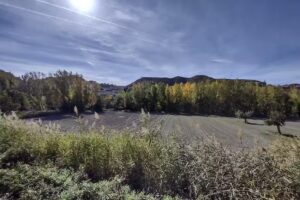 El Rincón De Galera