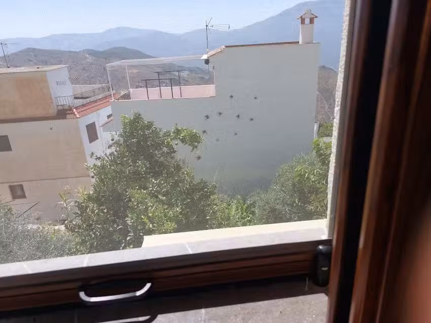 El tinao de la brujita