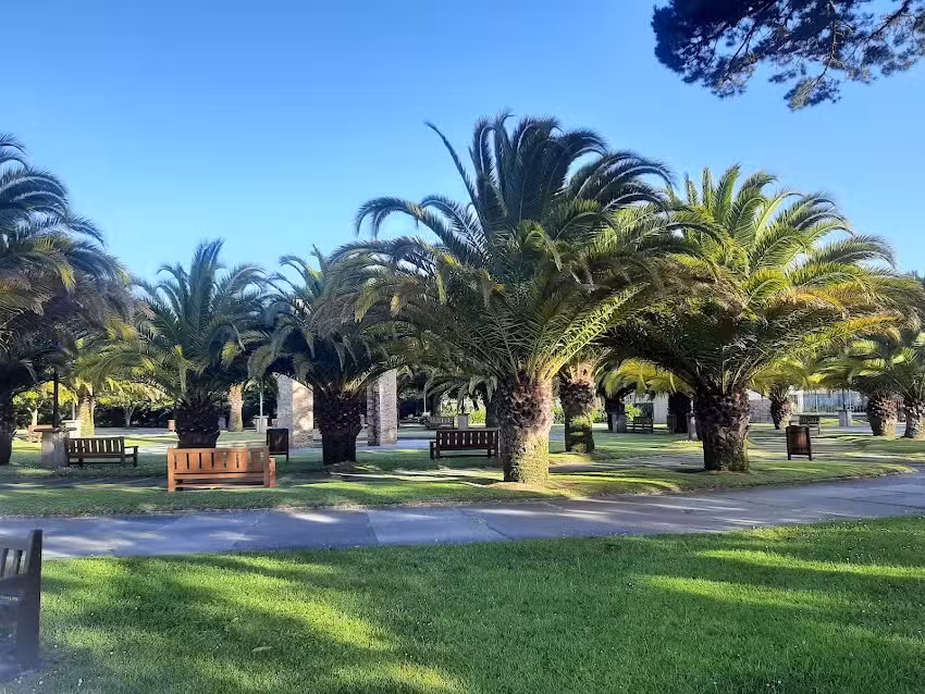 El trastero de Palmero