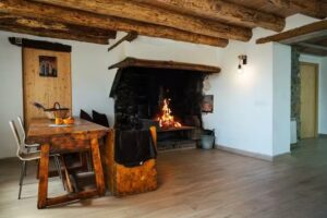 El Vimeners de Joanet