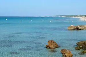 Estate Torre Soli Nou S.L.