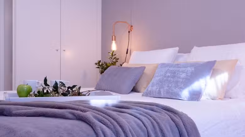 FerAla Suites Granada