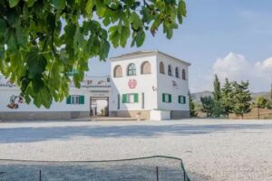 Finca Buenavista, Chilches