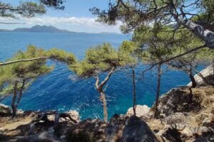 Finca Cala Murta – Fundación Rotger Villalonga