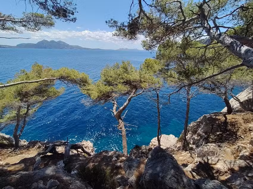 Finca Cala Murta – Fundación Rotger Villalonga