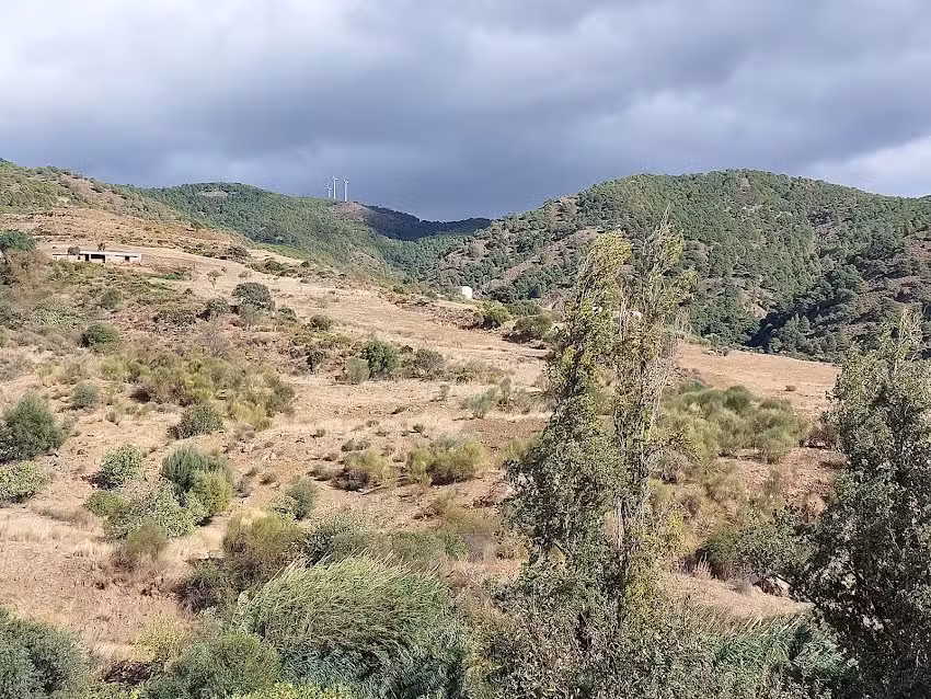 Finca el Bufón de la corte