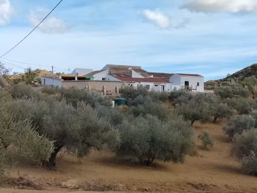 Finca Elements