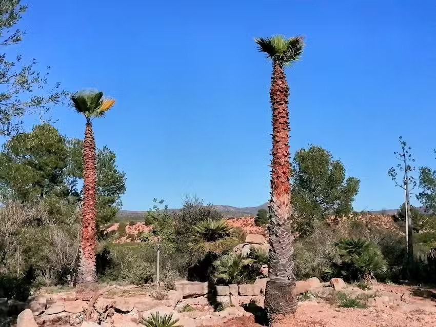 Finca Fantastica Lliria