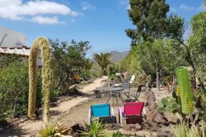 Finca Florida Teneriffa