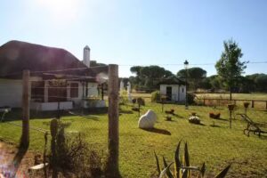 Finca Immobilien Andalusien Almonte