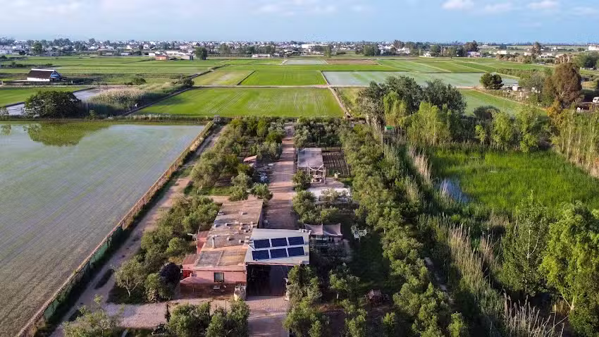 Finca ‘La Oliva’