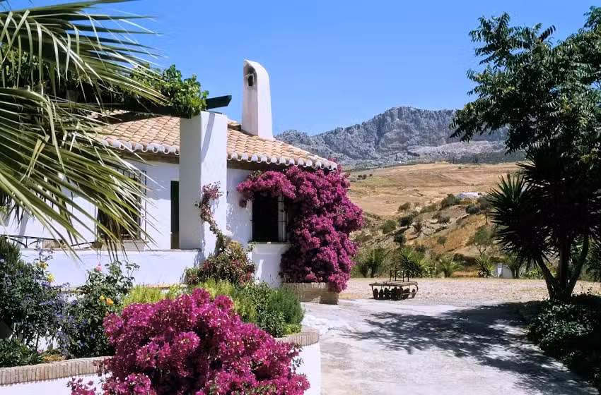 Finca Lomas de Tienda, Ursula Fleißner-de Beauclair