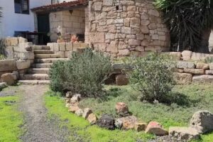 Finca Los Gavilanes Arico