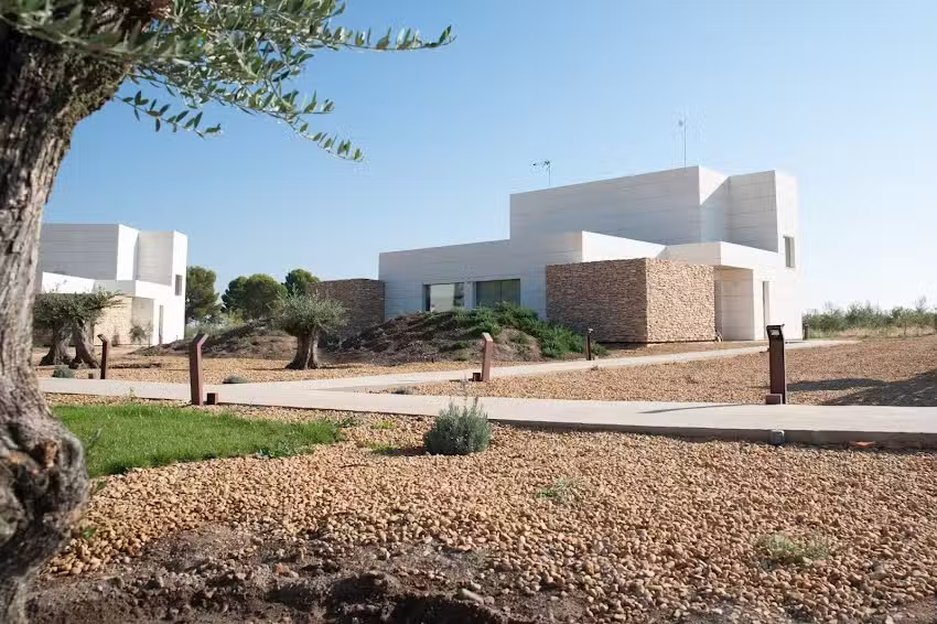 Finca Luz de Alba-Alojamientos turísticos