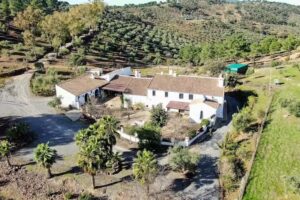 Finca Molino Don Zoílo