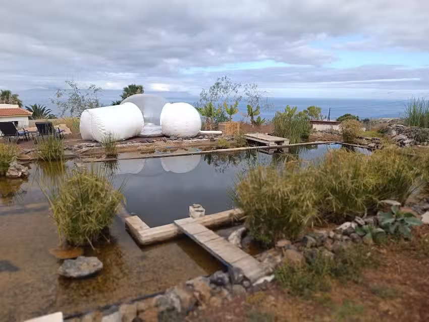 Finca Rural Nueva Vida