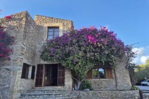 Finca Sa Mesquida de D’alt