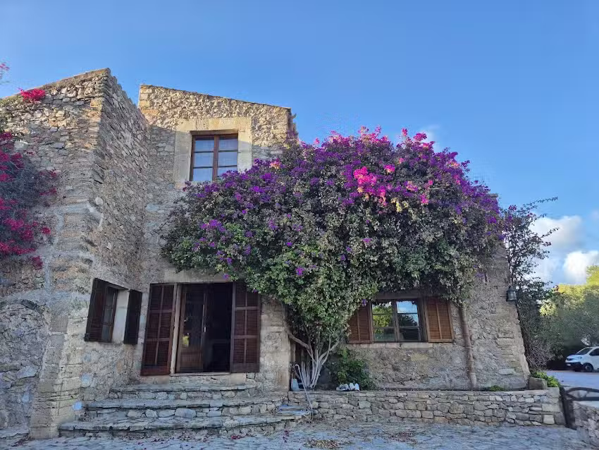 Finca Sa Mesquida de D’alt