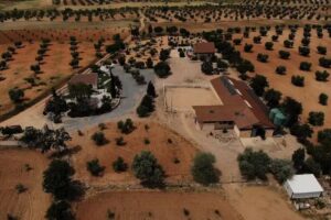 Finca Santa Lucía Alojamientos